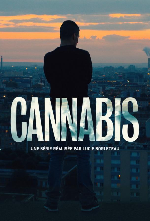 Cannabis (2016) онлайн бесплатно