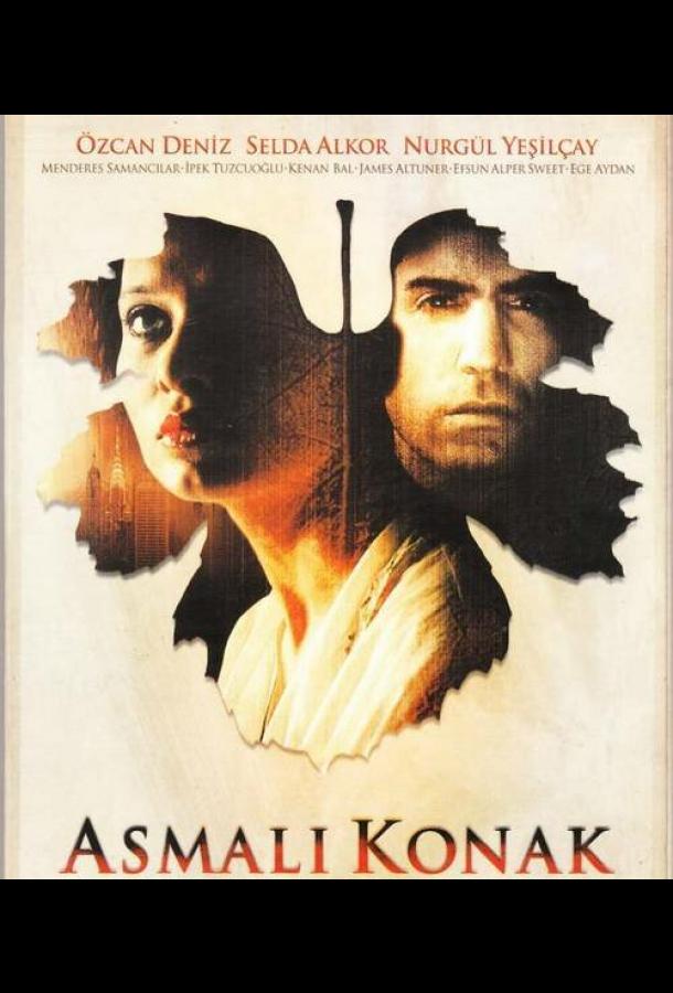 Особняк с виноградными лозами (2002) онлайн бесплатно