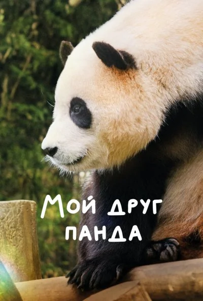 Мой друг панда (2024) онлайн бесплатно